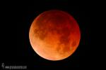 Eclipse de Luna 21-02-2008