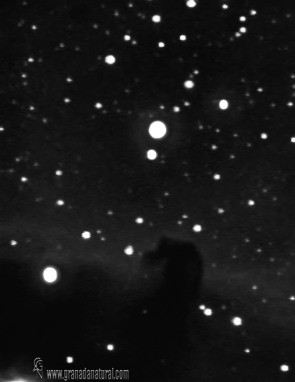 Nebulosa Cabeza de Caballo Barnard 33