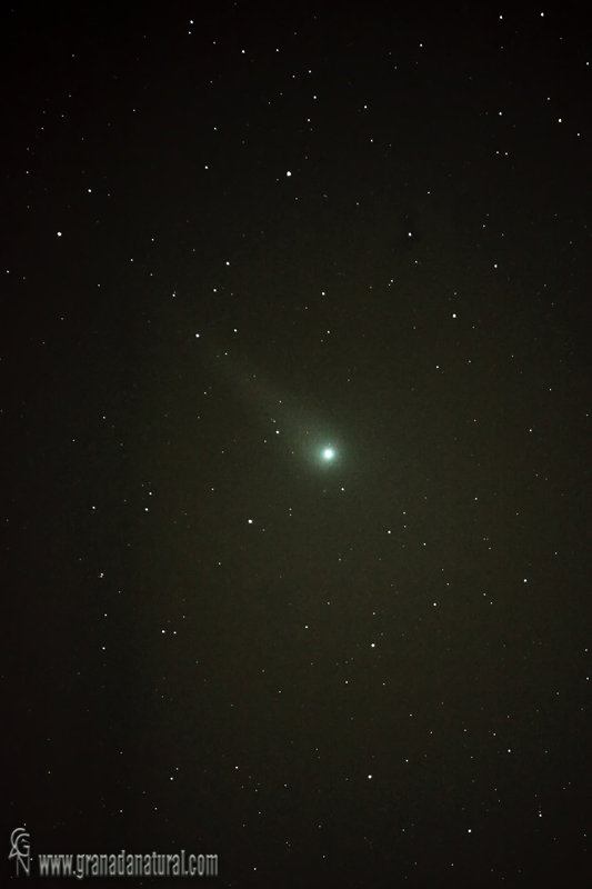 Cometa C/2007N3 Lulin
