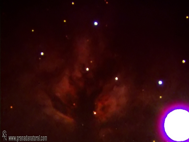 NGC 2024 Nebulosa de la llama