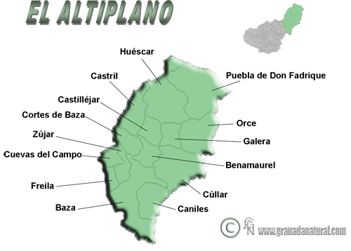 Pueblos de la comarca del Altiplano