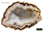 Calcedonia