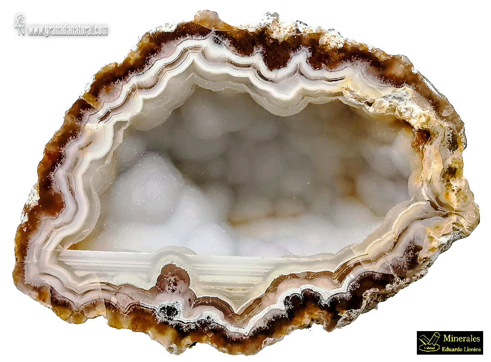 Calcedonia