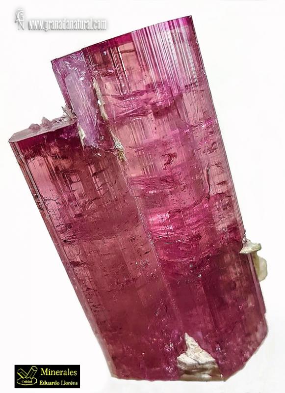 Rubelita