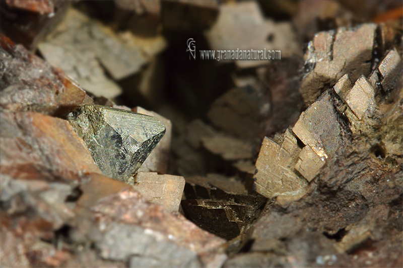 tetraedrita var. freibergita