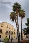 Ayuntamiento de Motril. Paisajes de Granada