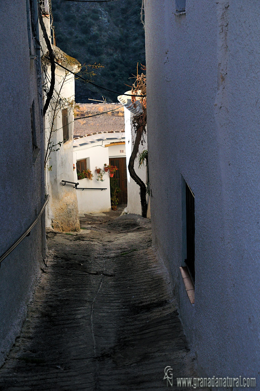 Calle de Mecinilla ( Ruta Medieval)