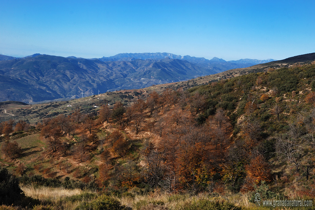 Sierra Almijara desde Cáñar