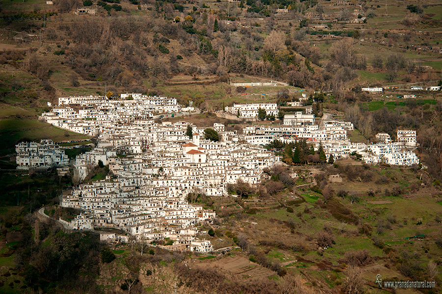Capileira 10. Pueblos de la Alpujarra