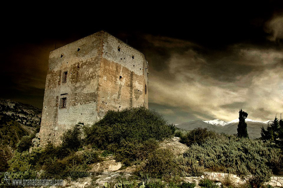 Castillo de Vlez-Benaudalla. Patrimonio de Granada