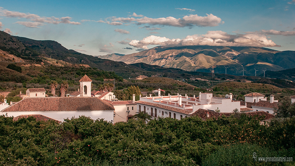 Chite / Lecr&iacute;n
