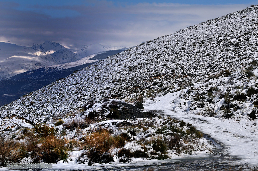 Contraviesa: Mirador de Sierra Nevada. Paisajes de Granada