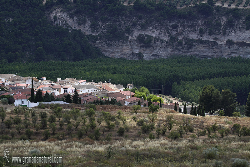 El Turro ( Cacn). Pueblos de Granada