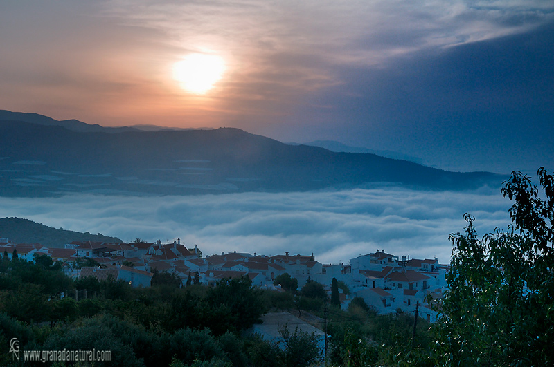 Gualchos entre la niebla. Pueblos de Granada