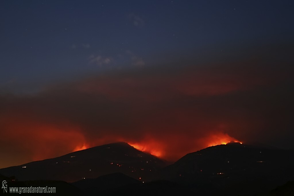Incendio en Sierra Nevada