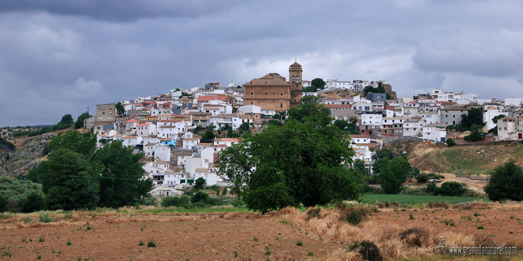 Iznalloz (vista parcial) . Pueblos de Granada