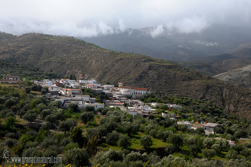 Jorairátar ( Murtas). Pueblos de Granada