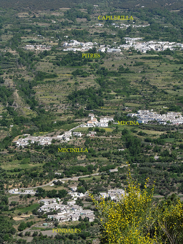 La Tahá ( Sus pueblos). Pueblos de Granada