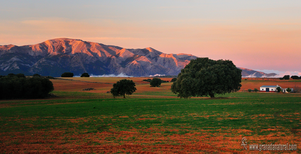 Paruqe natural de Almijara, Tejeda, Alhama al amanecer. Paisajes de Granada