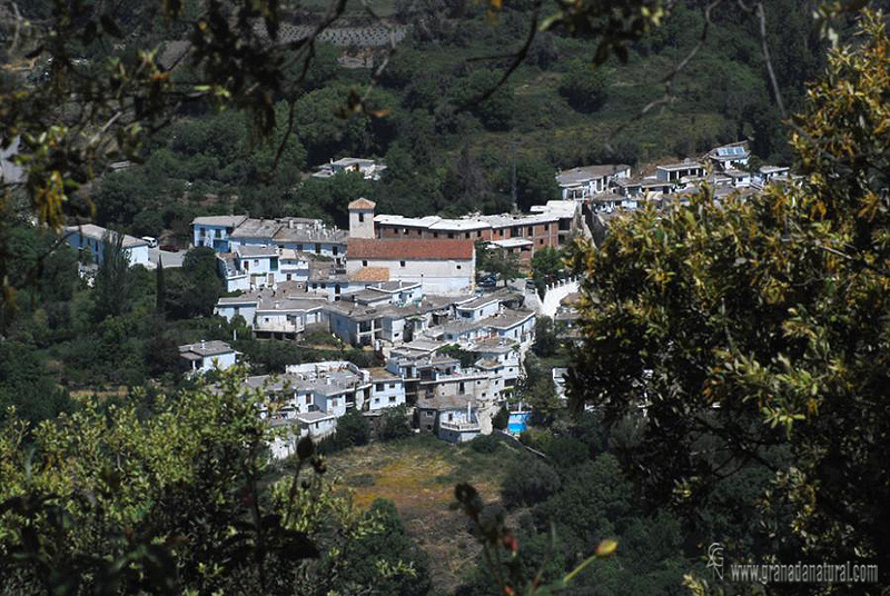 Ferreirola ( La Tah�). Pueblos de Granada