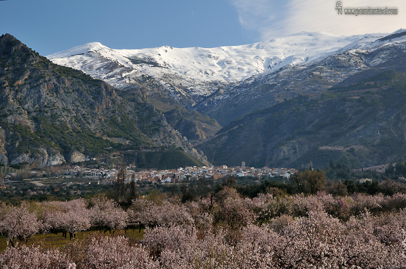 Nig�elas y Sierra Nevada. Pueblos de Granada