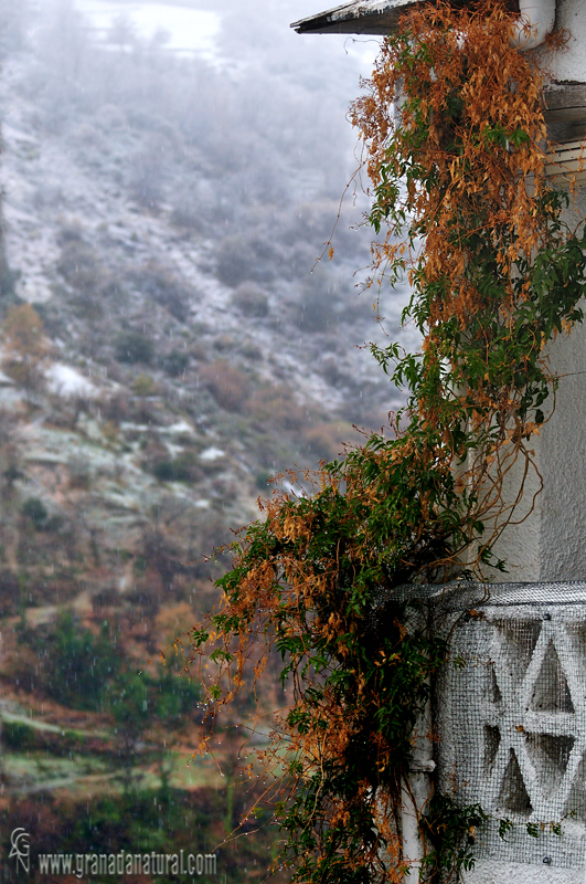 Color y nieve:Rincón de Pampaneira. Paisajes de la Alpujarra y Granada