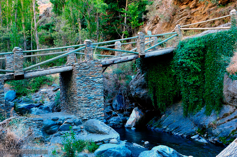 Puente de  Abuchite Capileira