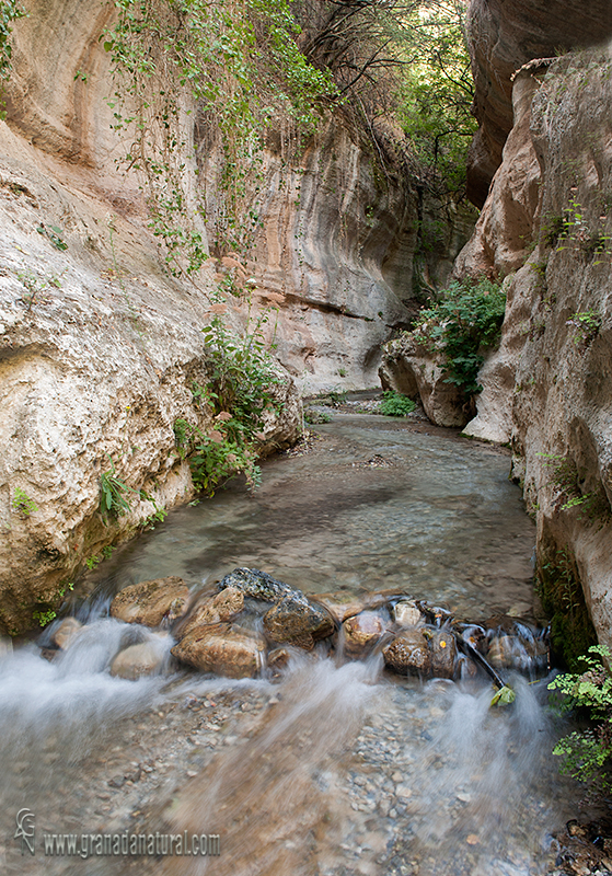 Rio Santo . Rios de Granada