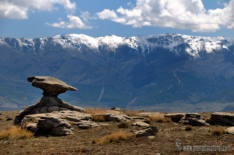 El hongo de piedra de la Sierra de Baza.
