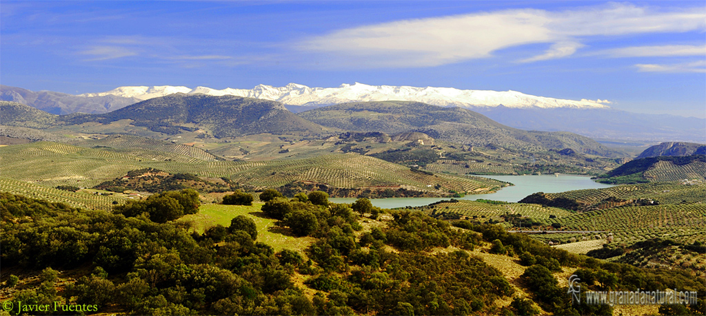 Sierra Nevada, de Hornos, del Campanario, del Rayo y del Zegrí.