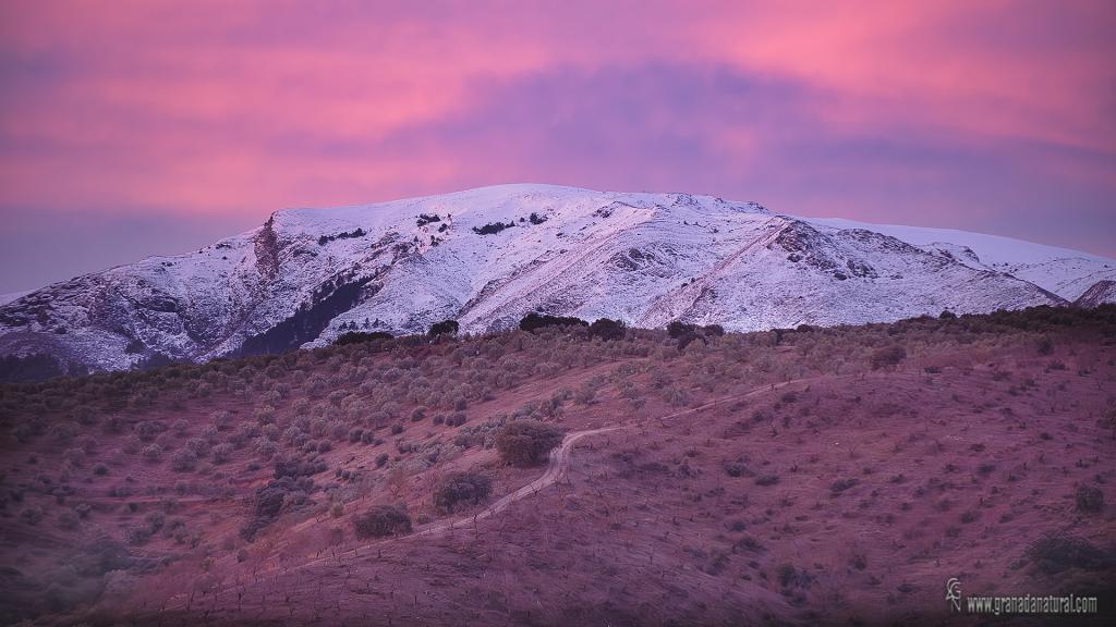 Amanecer en Sierra Tejeda.