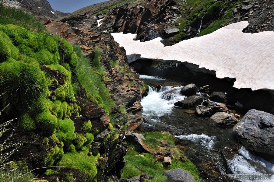 Río Lanjarón (Parque nacional de Sierra Nevada