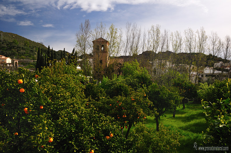 Yátor entre naranjos ( Cádiar). Pueblos de Granada